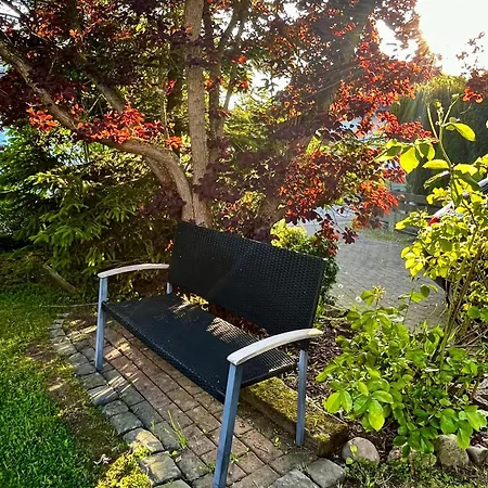 別荘 Windmuehlenweg Mit Grossem Sonnigen Garten -neu- *